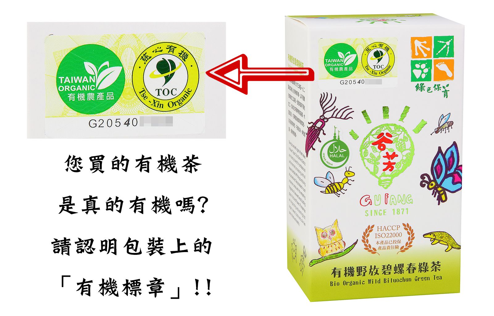 真正的有機茶1600.jpg